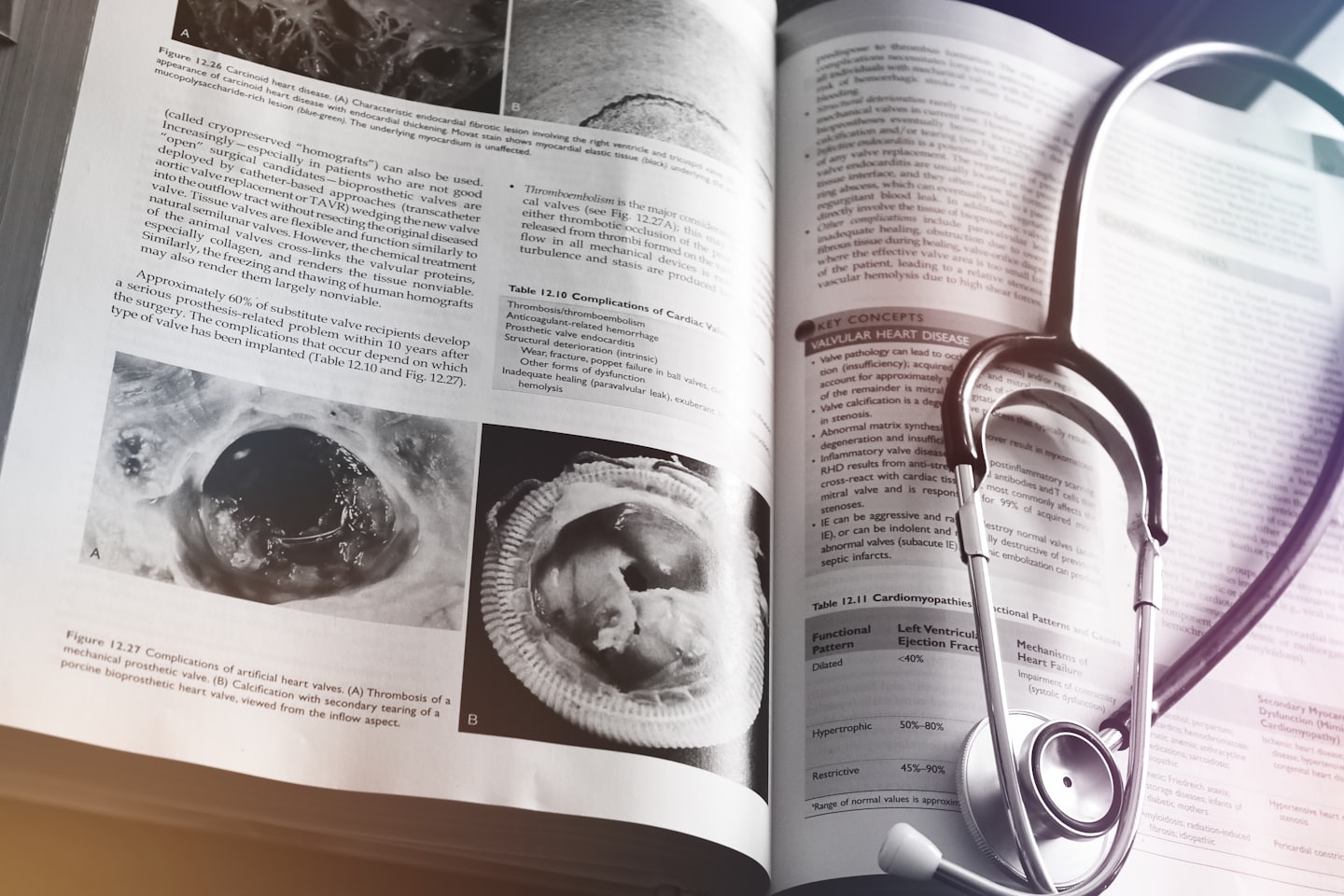 8c768b795678d6d12a07597efc1f51d7662801ce